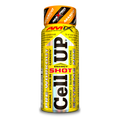 UD. CELLUP SHOT 60 ML Mango