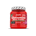 Glutamina Micronizada Powder Drink 360 g con sabor – Amix™ (1)